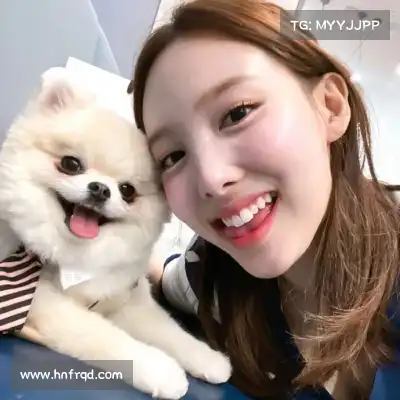 蒙圣桑